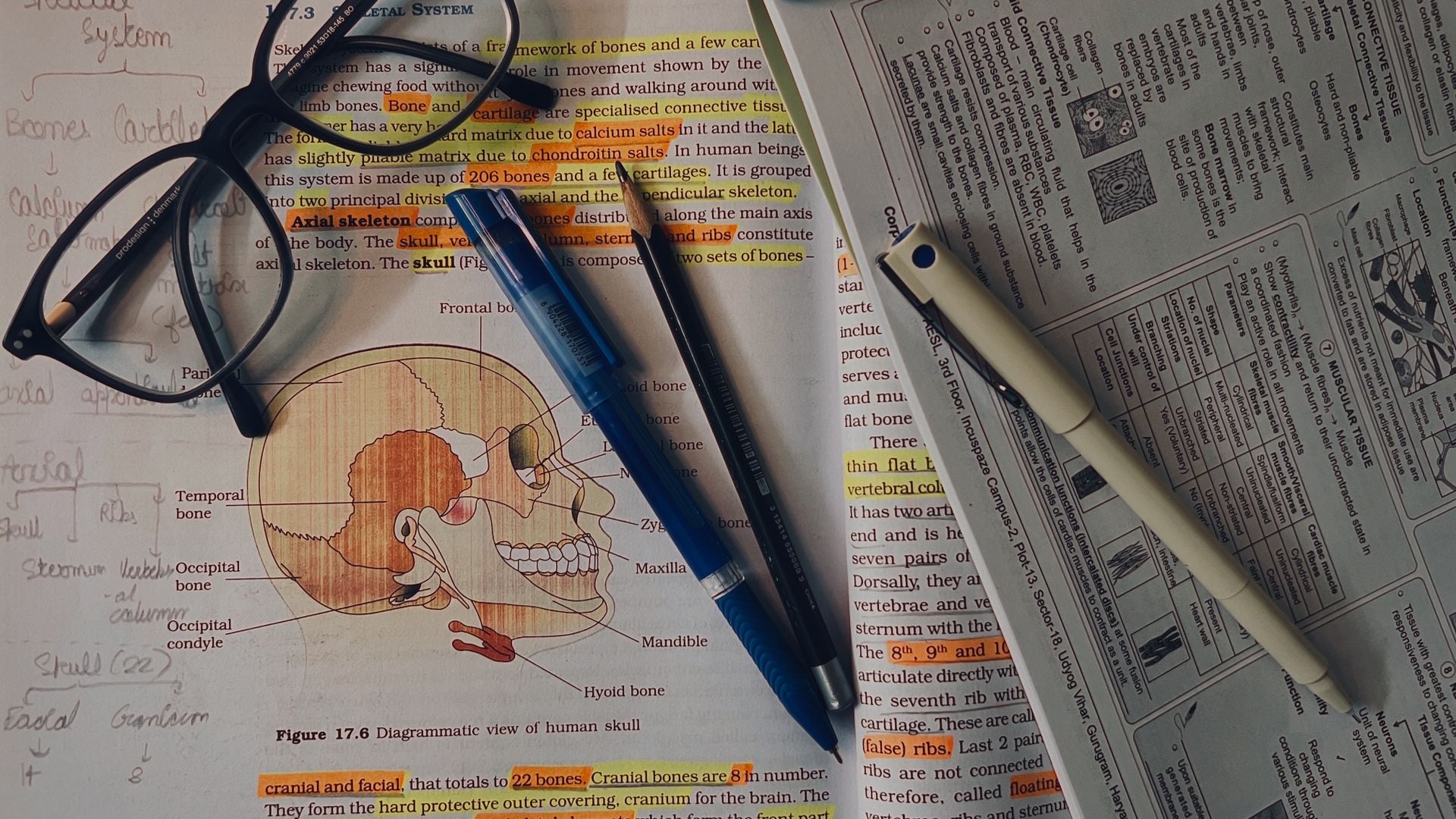 Cambridge Medicine (Graduate Course) interview preparation